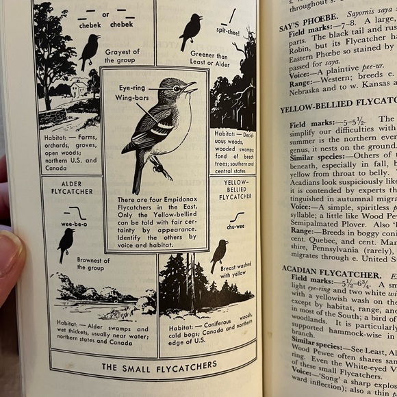 Field Guide to the Birds by Roger Tory Peterson - Picture 9 of 9
